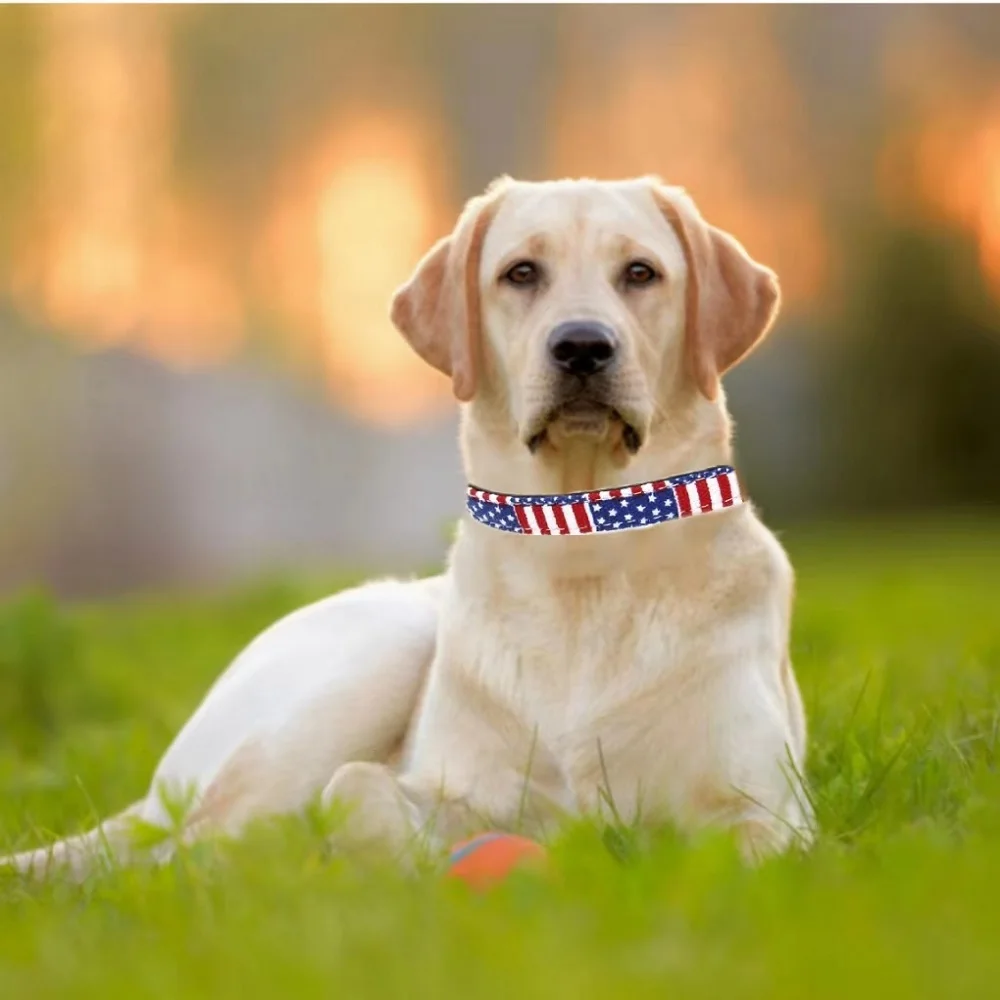 

Аксессуары для ошейника для собак, металлическая пряжка с гравировкой, идентификационная табличка для маленьких и больших Mascotas воротник Пе...