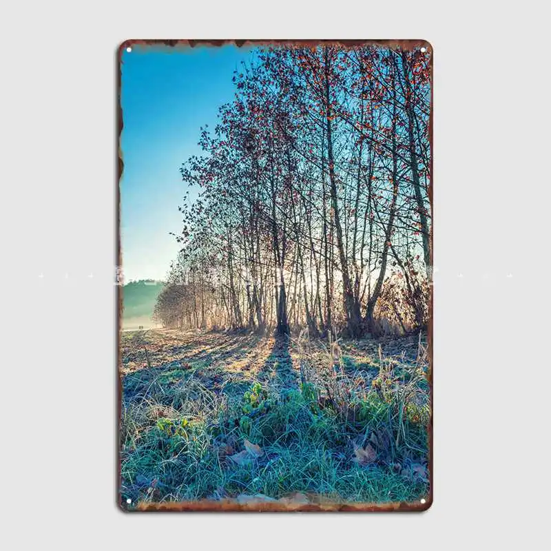 

Winter Morning, Fog, Sun And Frozen Grass Metal Sign Poster Pub Decoration Wall Tin Sign Poster