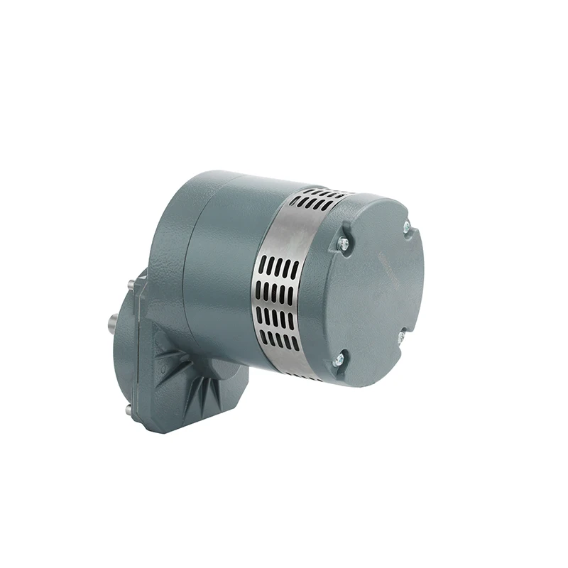 Настраиваемый редукторный двигатель постоянного тока PrimoPal 882W 24VDC Dia.145