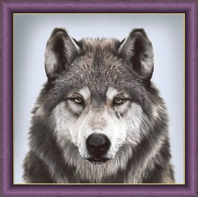 Алмазная мозаика 30х30 на подрамнике 