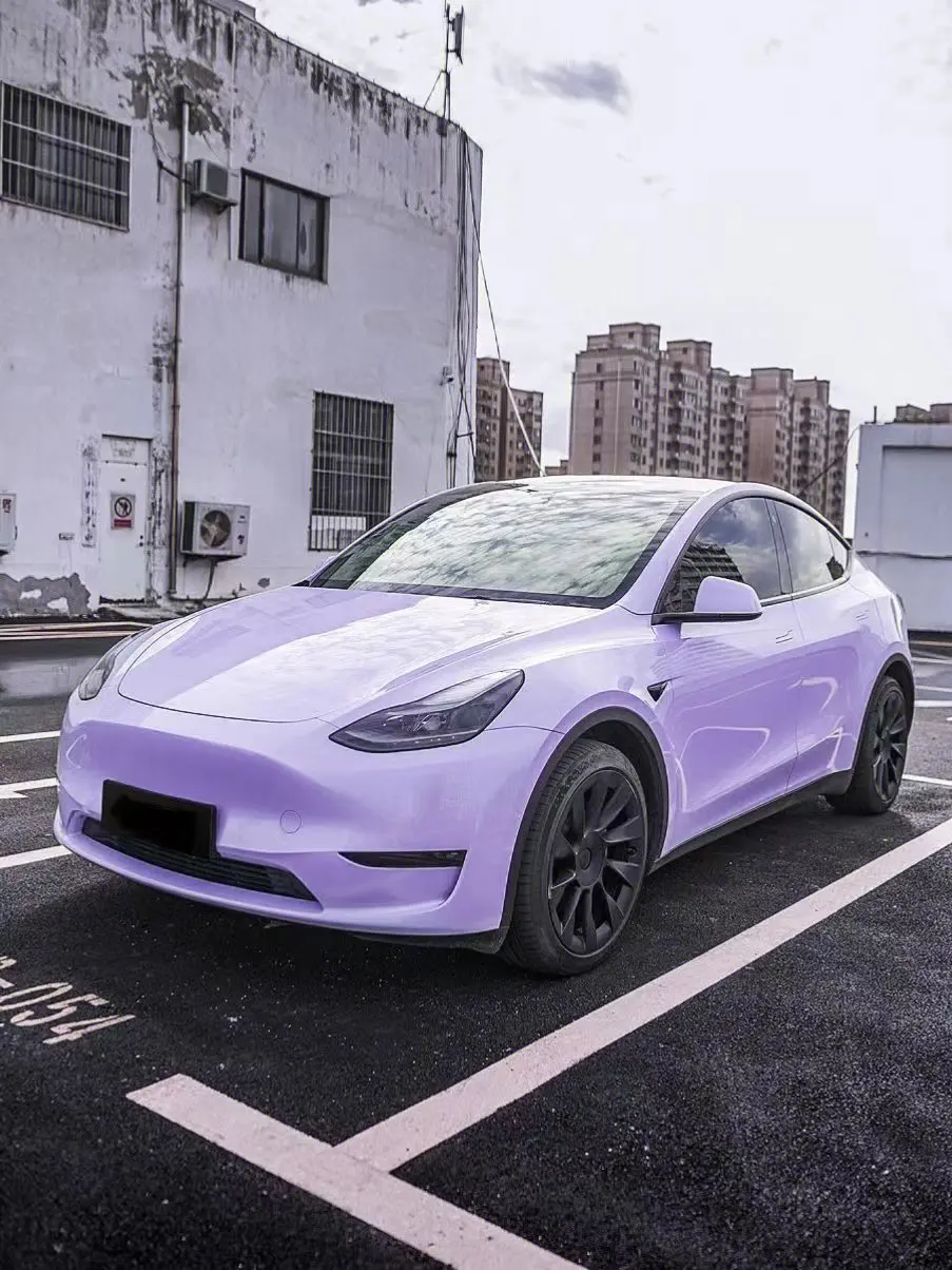 

Pet Stella Purple Car films car accessories