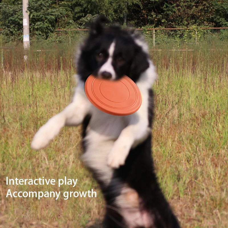 

Pet Toys Fly Discs Round Training Flying Saucer Bite Resistant Dog Toys for Large Dogs Fidget Accessories for Small Dogs פריסבי