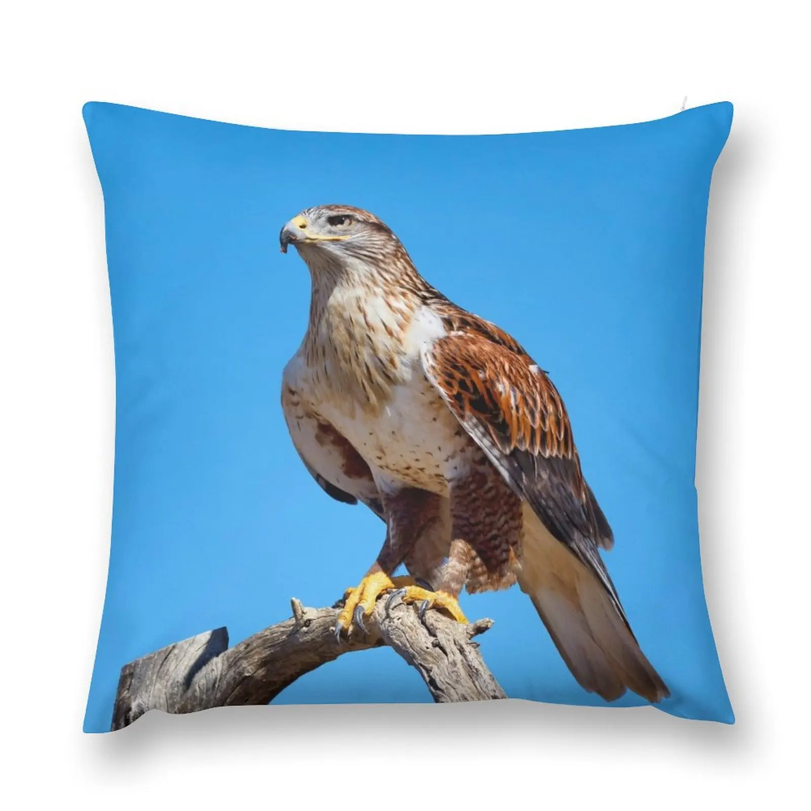 Ferruginous Hawk портрет искусственная подушка