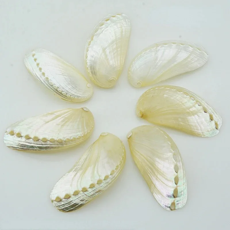 

Натуральные раковины Абалон 6-8 см, набор из 7 штук