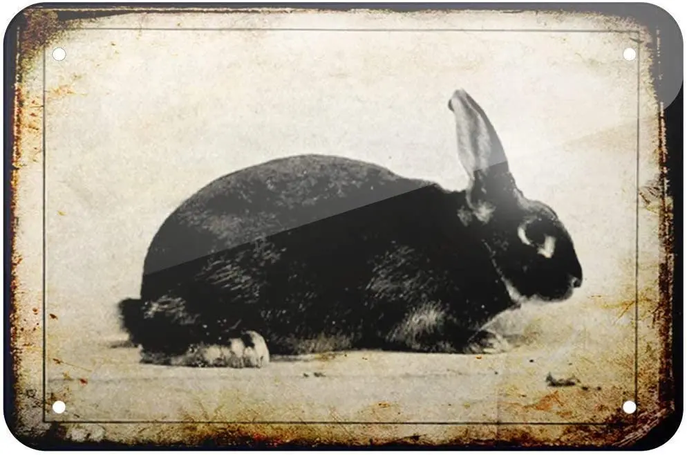 Jesiceny Π±ΠΎΠ»ΡΡΠΎΠΉ ΠΆΠ΅ΡΡΡΠ½ΠΎΠΉ Π·Π½Π°ΠΊ ΠΊΡΠΎΠ»ΠΈΠΊ, Π²ΠΈΠ½ΡΠ°ΠΆΠ½ΡΠΉ ΠΊΡΠΎΠ»ΠΈΠΊ, Π±ΠΎΠ»ΡΡΠΎΠΉ Π·Π½Π°ΠΊ, Π°Π»ΡΠΌΠΈΠ½ΠΈΠ΅Π²ΡΠΉ ΠΌΠ΅ΡΠ°Π»Π»ΠΈΡΠ΅ΡΠΊΠΈΠΉ Π·Π½Π°ΠΊ, Π½Π°ΡΡΠ΅Π½Π½ΠΎΠ΅ ΡΠΊΡΠ°ΡΠ΅Π½ΠΈΠ΅, Π²ΠΈΠ½ΡΠ°ΠΆΠ½Π°Ρ ΠΌΠ΅ΡΠ°Π»Π»ΠΈΡΠ΅ΡΠΊΠ°Ρ ΠΏΠ»Π°ΡΡΠΈΠ½Π° Jesiceny Π±ΠΎΠ»ΡΡΠΎΠΉ ΠΆΠ΅ΡΡΡΠ½ΠΎΠΉ Π·Π½Π°ΠΊ ΠΊΡΠΎΠ»ΠΈΠΊ, Π²ΠΈΠ½ΡΠ°ΠΆΠ½ΡΠΉ ΠΊΡΠΎΠ»ΠΈΠΊ, Π±ΠΎΠ»ΡΡΠΎΠΉ Π·Π½Π°ΠΊ, Π°Π»ΡΠΌΠΈΠ½ΠΈΠ΅Π²ΡΠΉ ΠΌΠ΅ΡΠ°Π»Π»ΠΈΡΠ΅ΡΠΊΠΈΠΉ Π·Π½Π°ΠΊ, Π½Π°ΡΡΠ΅Π½Π½ΠΎΠ΅ ΡΠΊΡΠ°ΡΠ΅Π½ΠΈΠ΅, Π²ΠΈΠ½ΡΠ°ΠΆΠ½Π°Ρ ΠΌΠ΅ΡΠ°Π»Π»ΠΈΡΠ΅ΡΠΊΠ°Ρ ΠΏΠ»Π°ΡΡΠΈΠ½Π°