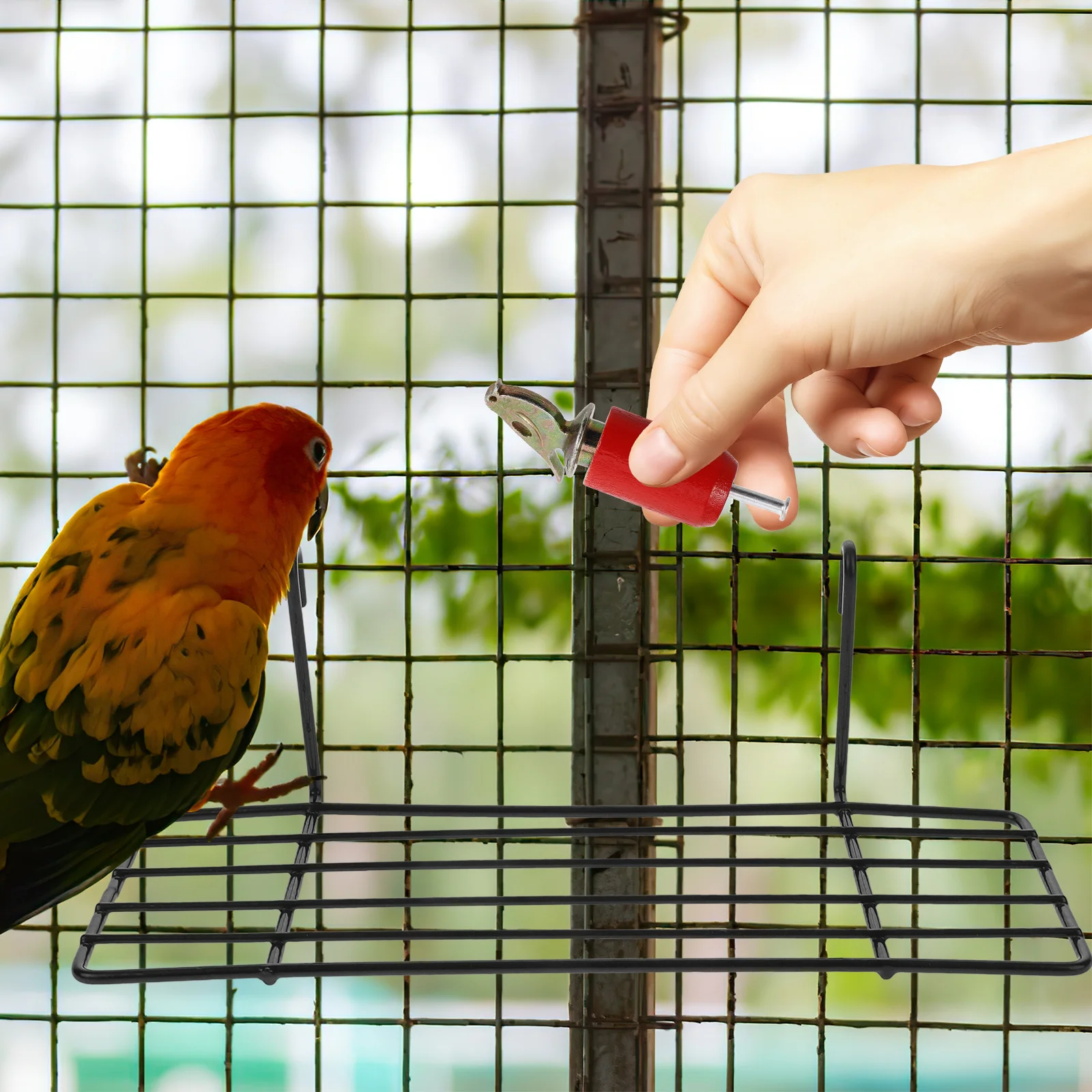 Птичий свисток детские игрушки звуковое устройство для практики мультяшное