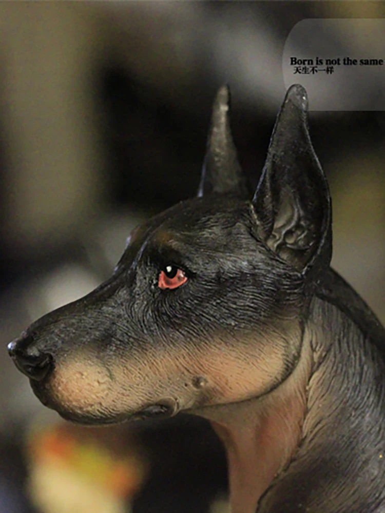 Домашний декор, украшения Doberman, имитация животного, дизайн собаки с базовыми фигурами, украшения для дома, аксессуары для комнаты, миниатюры (art.: 3920bc80d5474) - 3920bc80d5474