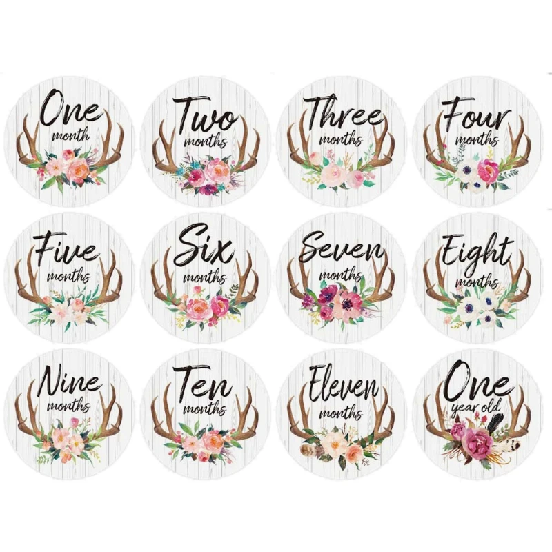 

First Year Monthly Milestone Photo Sharing Baby Belly Stickers, 1-12 Months