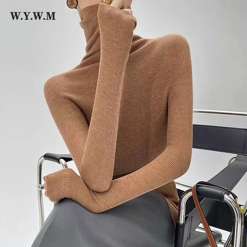 

WYWM Turtleneck Slim Inside Sweater Women Winter Casual Knitted Bottoming Pullover 2023 New Soft Warm Pile Collar Female Jumper