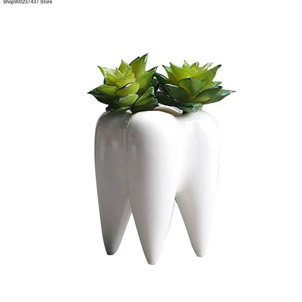 

Teeth Shape Flowerpot Innovation White Ceramic Succulent Flower Pot Modern Design Home Decoration Does Not Include Plants