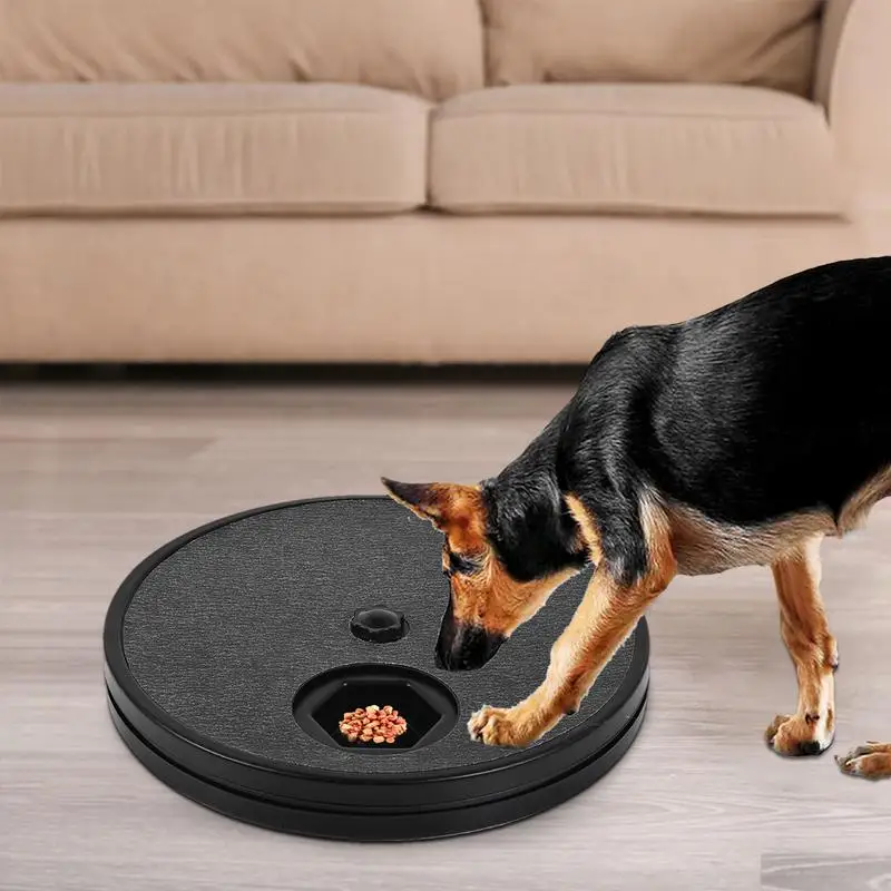 Когтеточка для кошачьих ногтей когтеточка собак эффективная пилочка