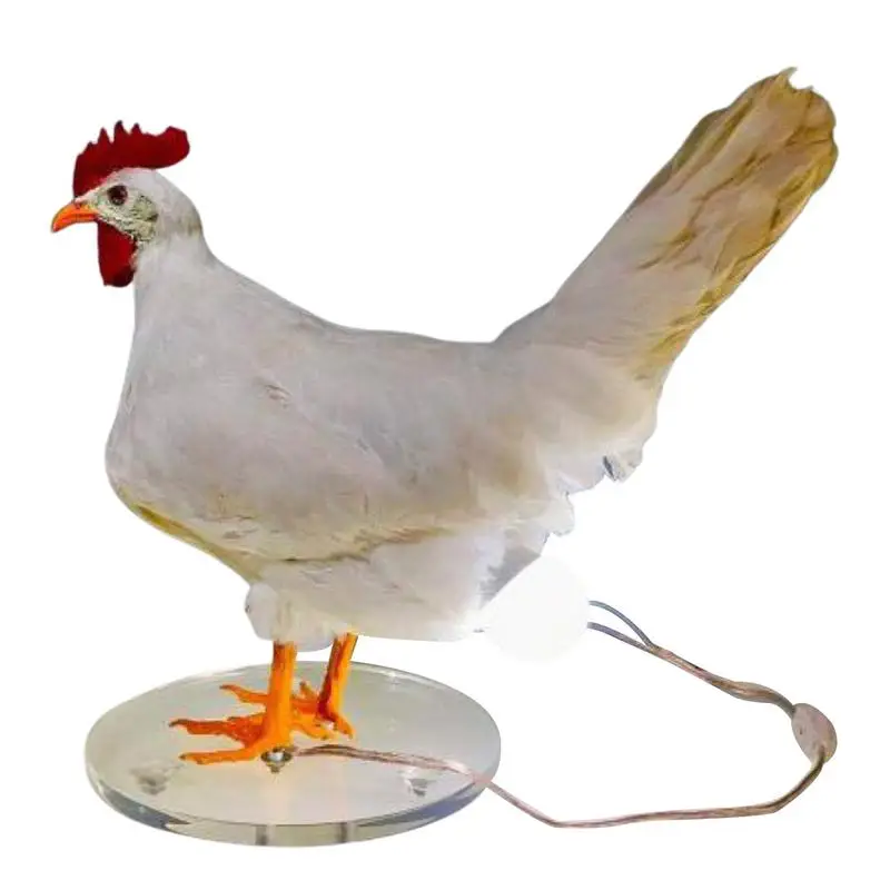 

Chicken Egg Table Lamp Chicken Egg Night Light Realistic Taxidermy Look Chicken Egg LED Lamp For Bedroom Living Room Decor