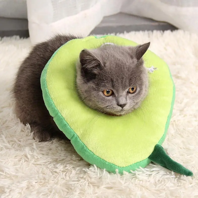 

Cat Recovery Collar Protective Adjustable Pet Cone Collar Comfortable Lightweight Elizabethan Collar For Cat Kitten
