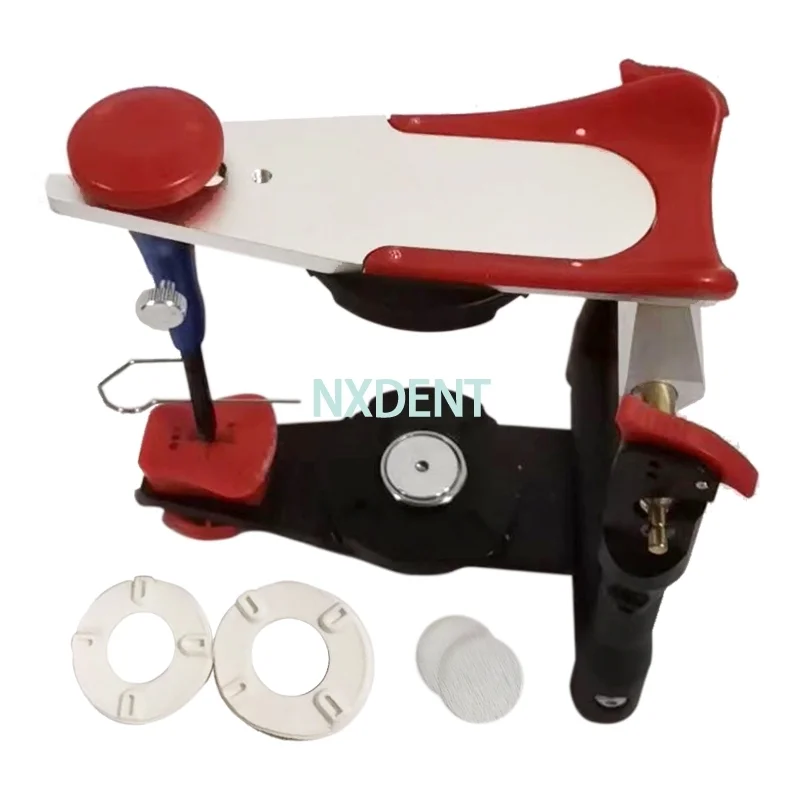 

High Quality New Dental Functional Articulator Model Zinc Alloy Accurate Scale Plaster Model Work For Dentist Equipment