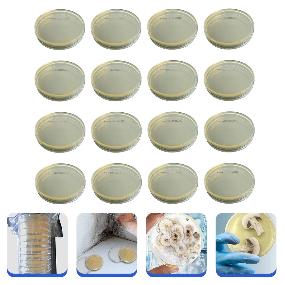 

Agar Medium Biological Agar Dishes Culture Dishes Labs Petri Dextrose Infusion Plates P064