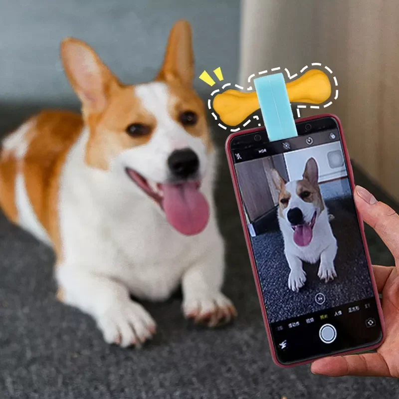 

2023NEW Cat Selfie Stick Clamp Treat for Attracting Pet Easier Take Photo for Pet Attachment Selfie Training Toy