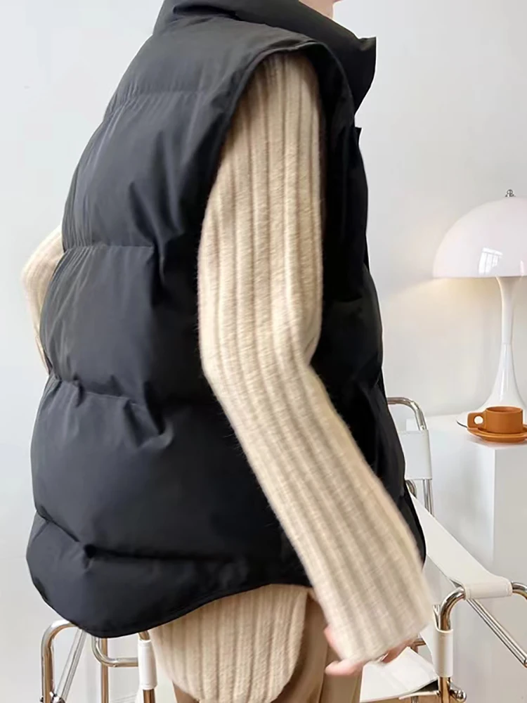 AOSSVIAO Fashion Contton Vest Women's Autumn 2023 New Stand Collar Single Breasted Sleeveless Loose Solid Color Waistcoat