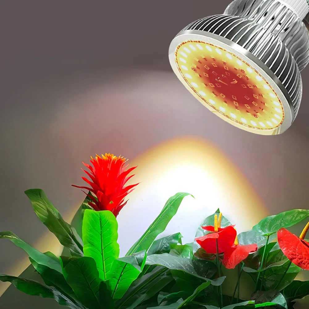 

Seedling Led Grow Light Full Spectrum Cob P30 50W LED Growth Light Bulb Hydroponic Growing Lamp for Plants Flower