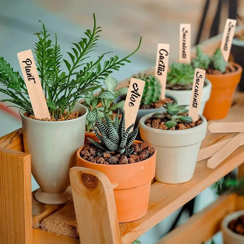 

Wood Plant Labels Eco-Friendly Wooden Plant Signage Card Tags Garden Markers for Seed Potted Herbs Flowers Vegetables Tools