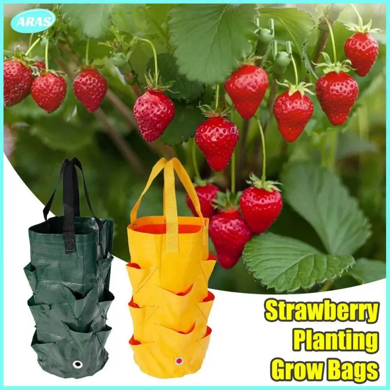 

Garden Pots Amp Planters Grow Hanging Bag Vegetable Seeds For Planting Garden Buildings Planters Holders For Garden Garden