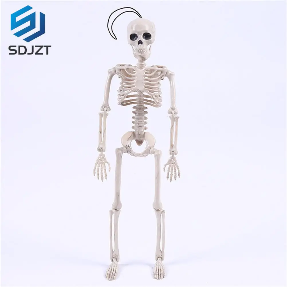 

Wholesale Medical Learn Aid Anatomy art sketch 40CM Halloween Flexible Human Anatomical Anatomy bone Skeleton Model Medical
