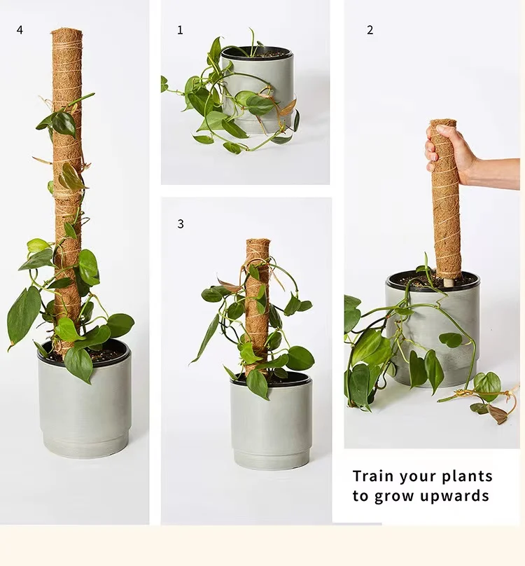 Палочки из кокосовой пальмы для скалолазания растений с палочками Выдвижные и