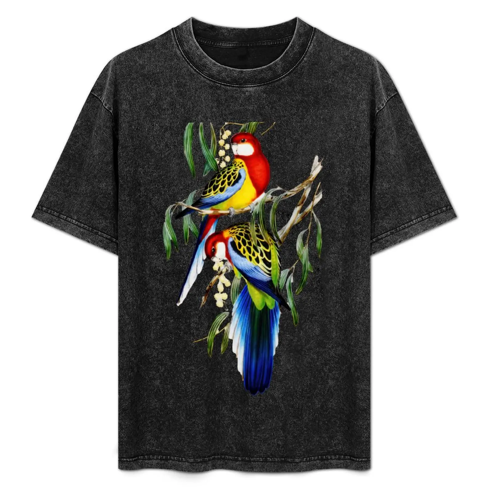 Футболка East Rosella (Platycertus Eximius) от John Gould летние топы аниме фигурки эстетическая