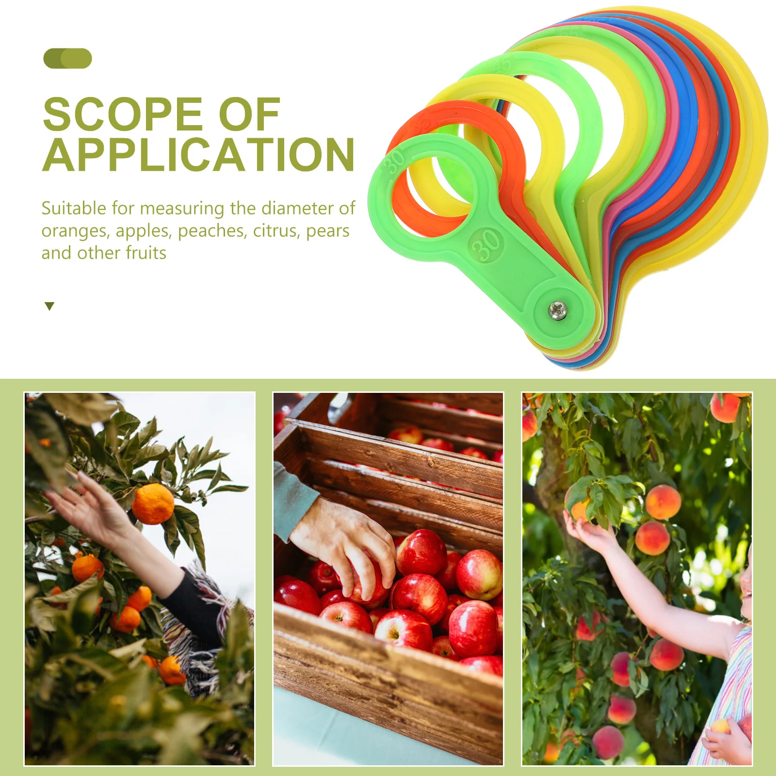 Экскаватор фруктов измерительные кольца для пластиковые приборы диаметром