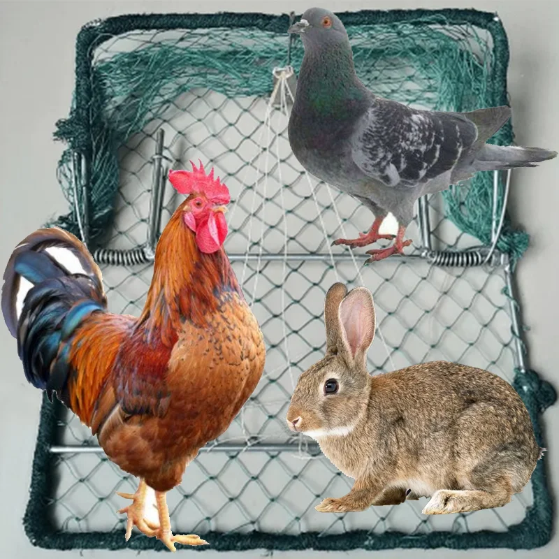 

40x50cm Bird Netting Quail Gardening Supplies Pigeon Trap Bird Dirt Netting Chicken Duck Goose