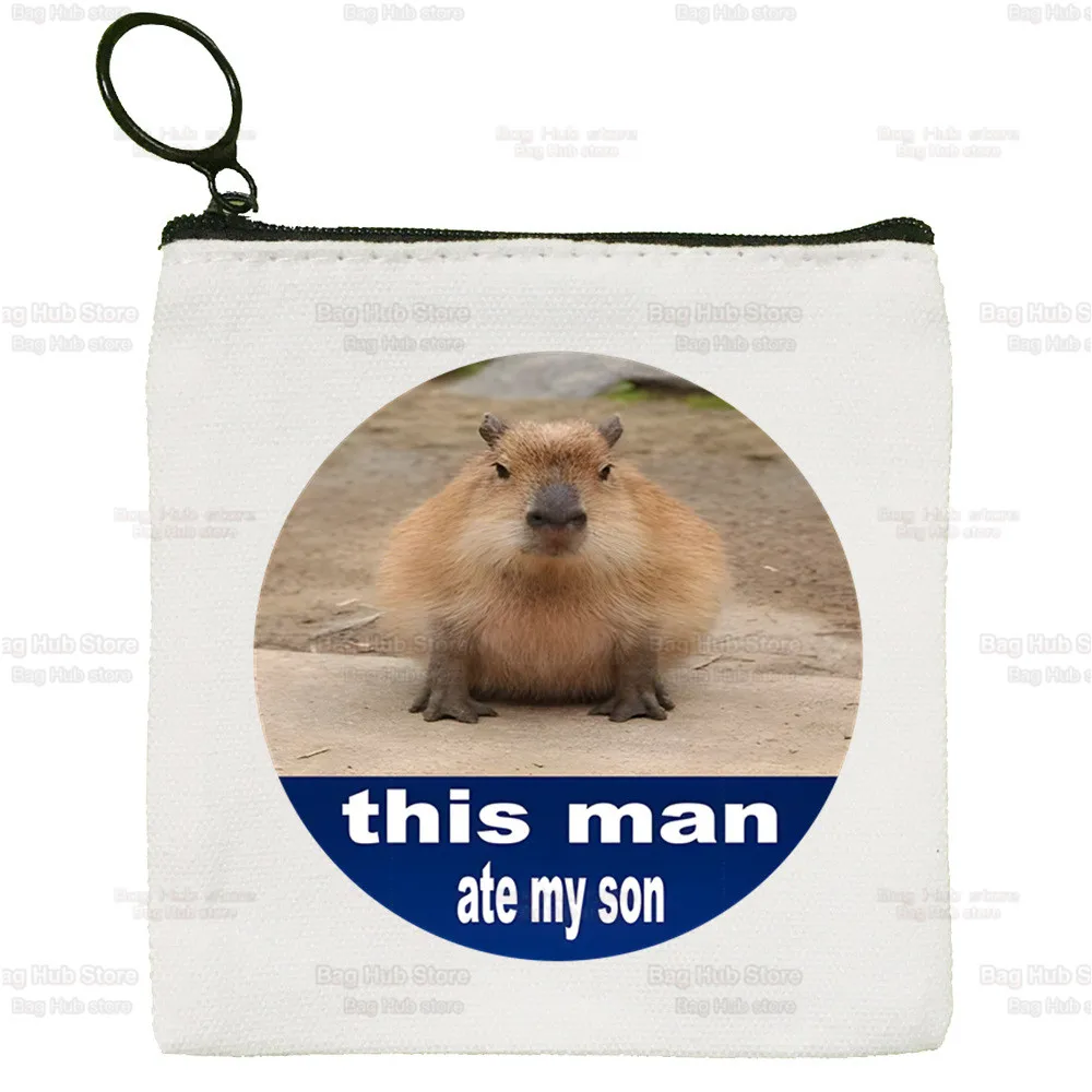 Capybara Funny Women's Bag Pure White Bag Animal Handmade Cloth Bag OK I Pull Up Coin Purse Whiteboard  Bag Handbag