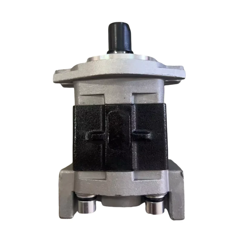 Оригинальный гидравлический насос SGP SGP1 SGP2 SGP2A Series Шестеренчатый SGP1-27-F1H2R