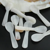 7cm natural conch shell ice cream coffee spoon caviar spoon mother of pearl seashells stirring spoons teaspoon kitchen tool