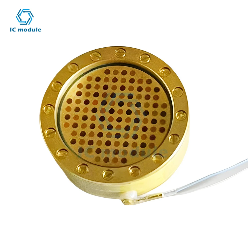 

Single side edge terminated microphone capsule studio microphone large gold diaphragm Pro DIY Element Replacementwire cardioid
