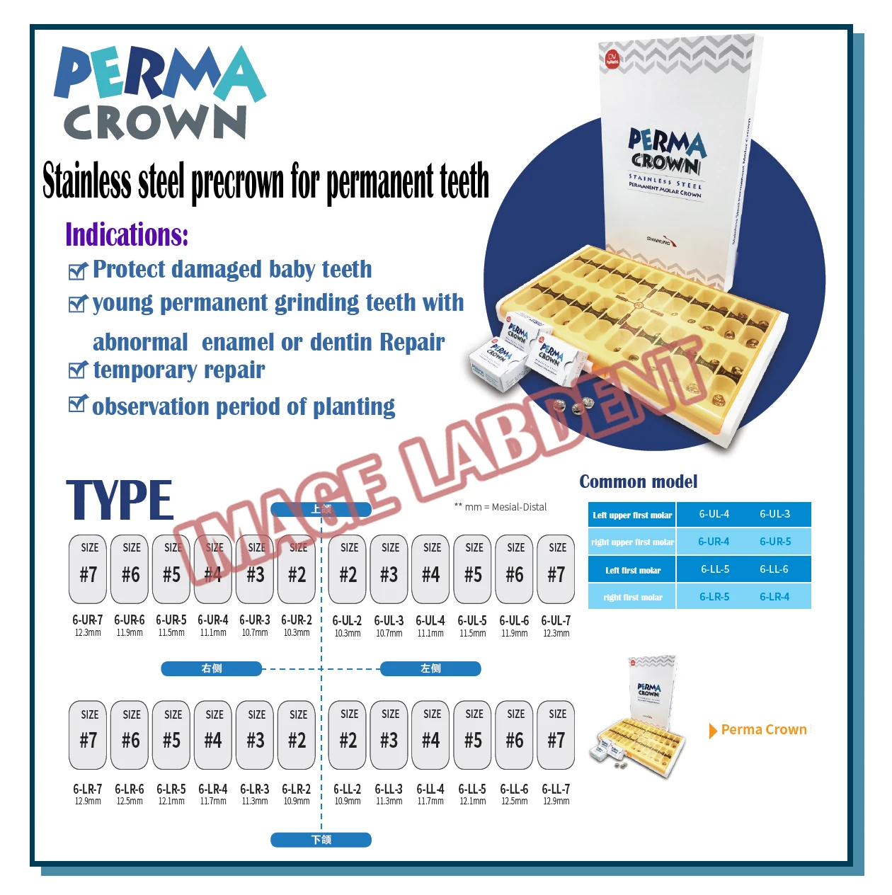 Стоматологическая детская Корона Perma из нержавеющей стали постоянные зубы