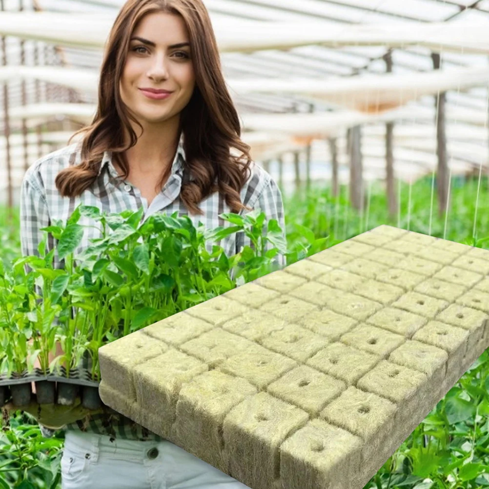 50 шт. Gardenrock Woolasbestos детский блок для выращивания кубиков пробки растений