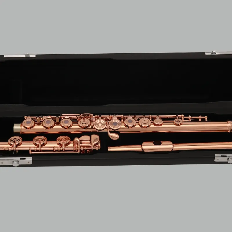 Флейта отверстия. Золотая флейта. Флейта французской системы. Розовая флейта.