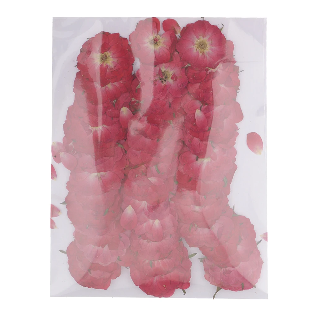 

50pcs Beautiful Pressed Rose Flower Dried Flowers for Art Craft Scrapbooking