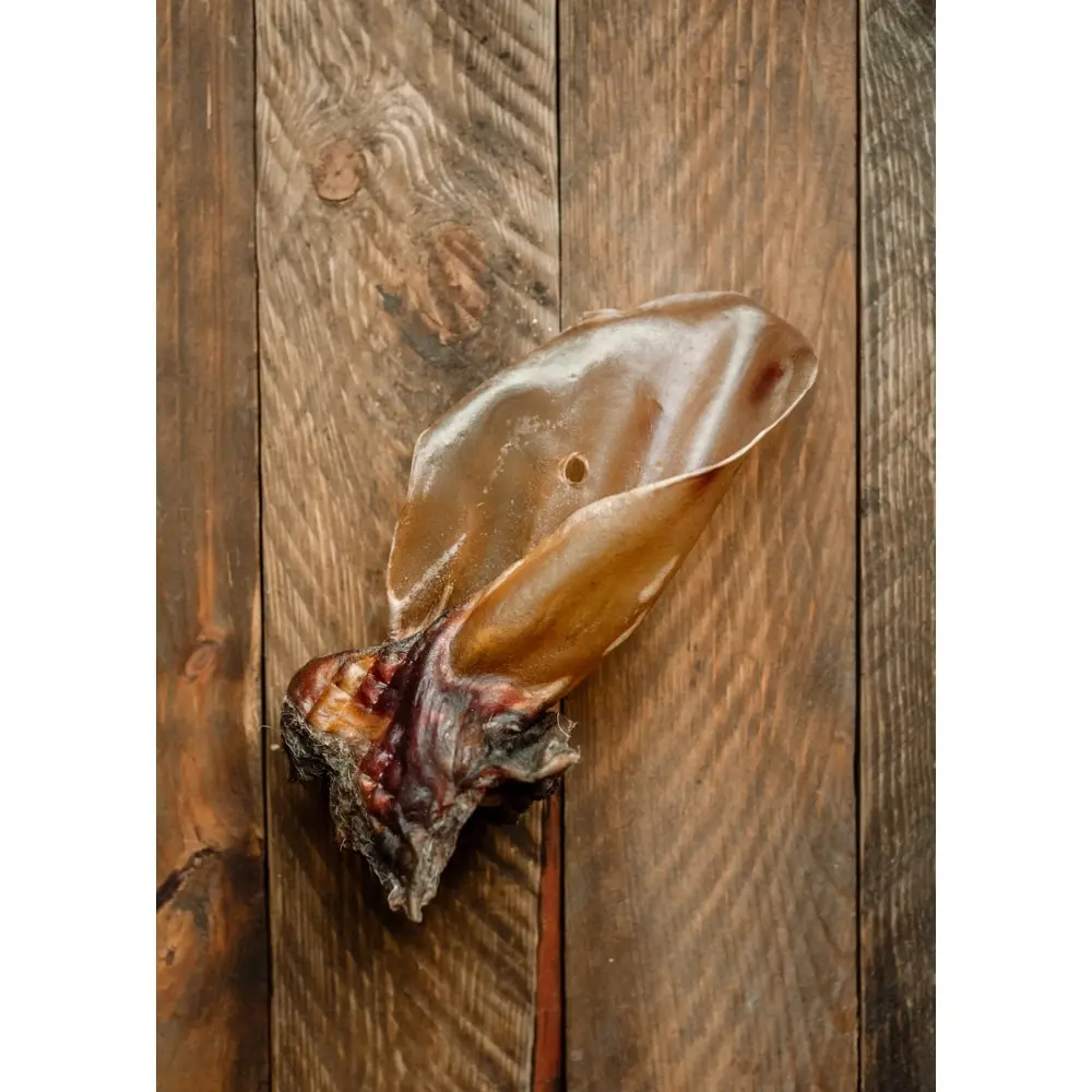 Говяжье ухо лакомство для собак животных корм гурман гипоаллергенный