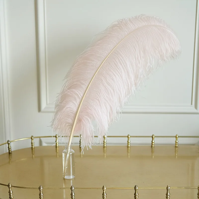 25PC 50-55CM Бежевые крашеные страусиные перья натуральные настоящие перья Пары для свадебных центральных украшений ремесла карнавал.