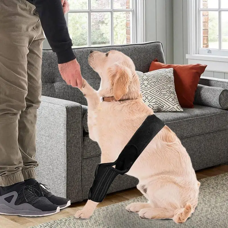 

Dog Knee Brace Dog Orthosis Pet Knee Pads Adjustable Legs Wrap Dog Wounds Heals Canine Injury Recover Protector Leg Braces
