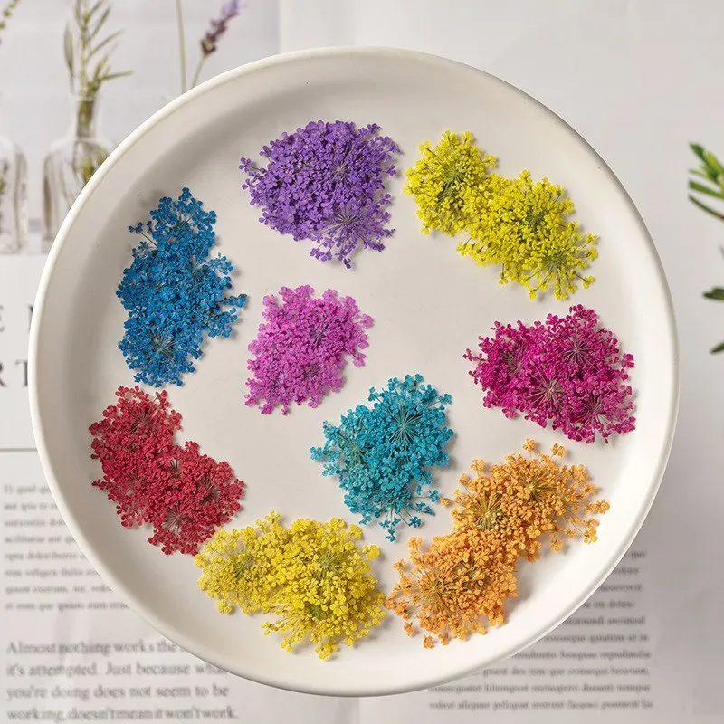 

Snowdrops Flower Arrangements Floral Material Drip Glue Dried Flowers Diy Handmade Floral Material Plant Teaching specimens