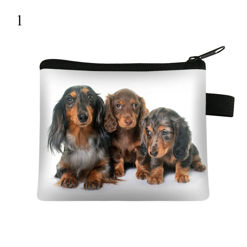 Purse Card Holder Coin Bag Wallet Storage Pouch Key Pouch Card Bag Dachshund Dog Zipper Waterproof Cute Portable Personalized