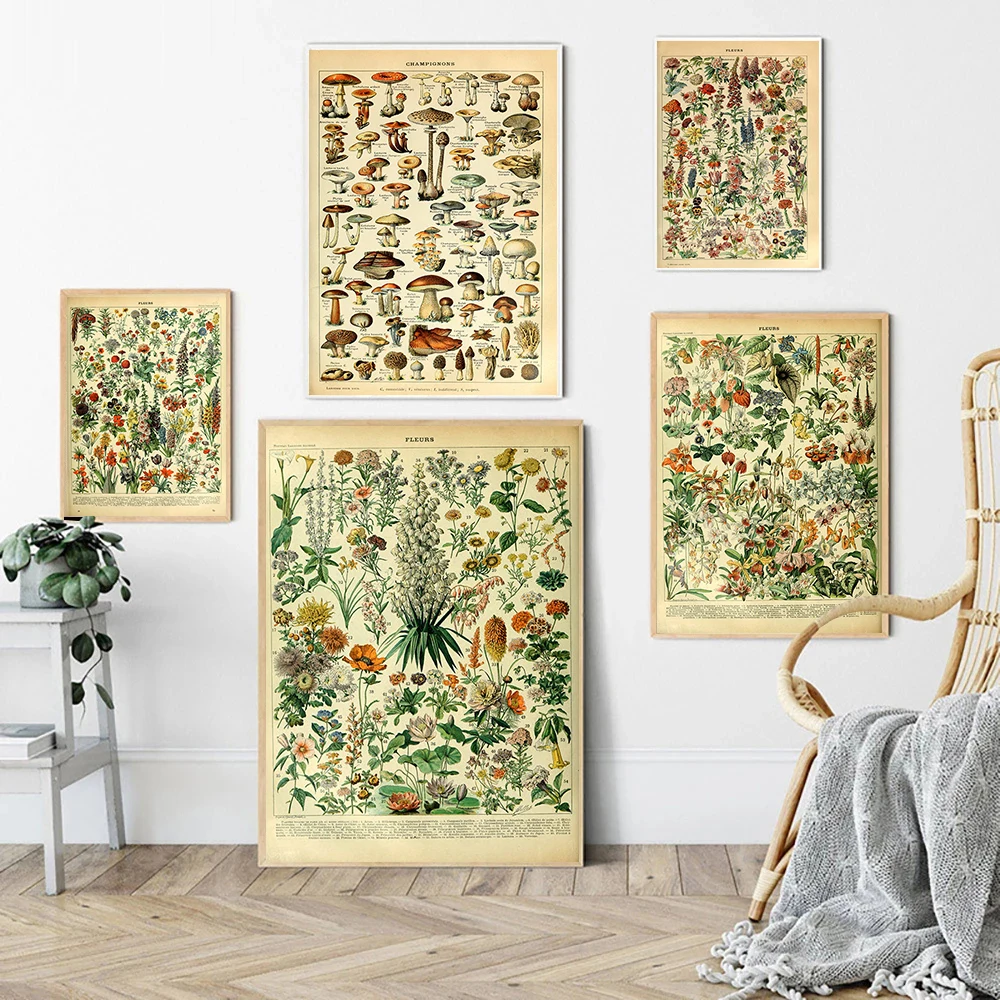 

Retro Plants Flowers and Mushrooms Illustrated Antique Old Page Pictures Home Decor Canvas Painting Office Study Art Wall Poster