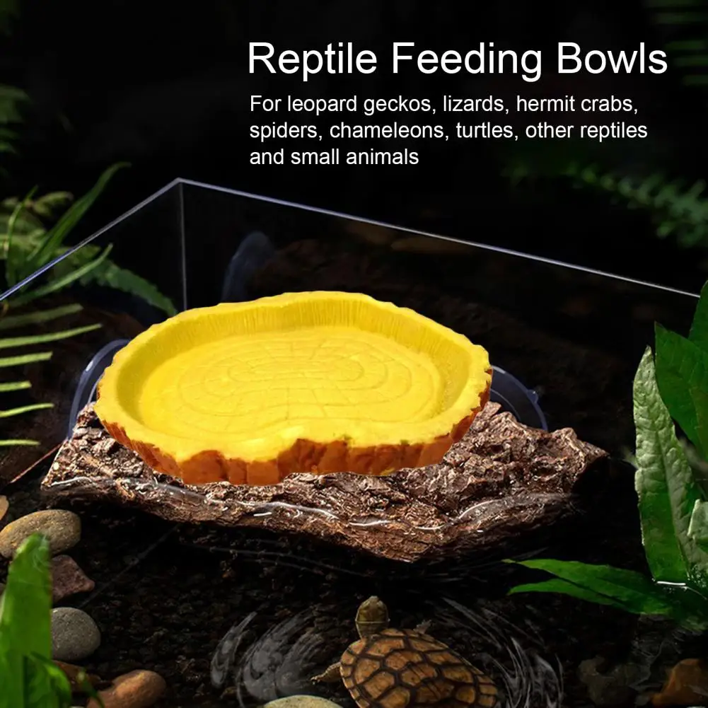 

Habitat Decor Food Water Bowls for Versatile Accessories Stump Ring Feeding Bowls Aquascape Decoration Climbing Pet for Lizards