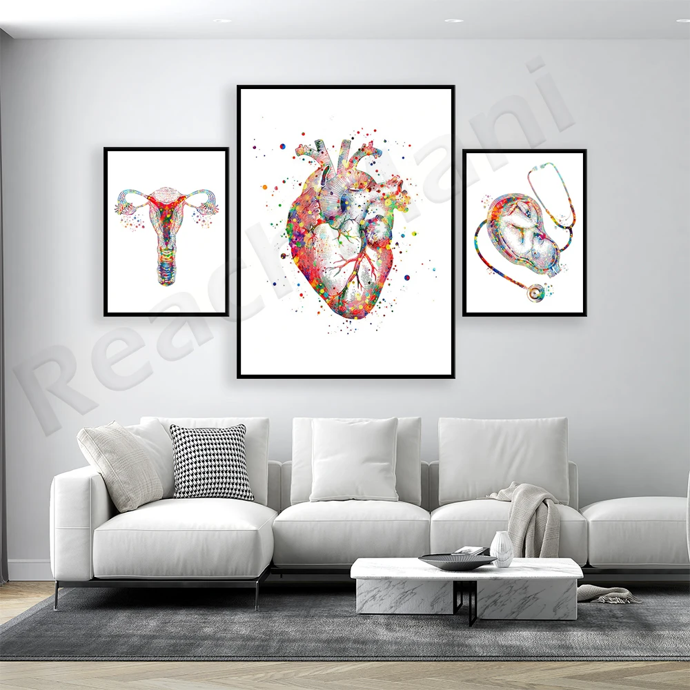 Женская анатомия ребенок в матке стетоскоп фотография матки медицинское