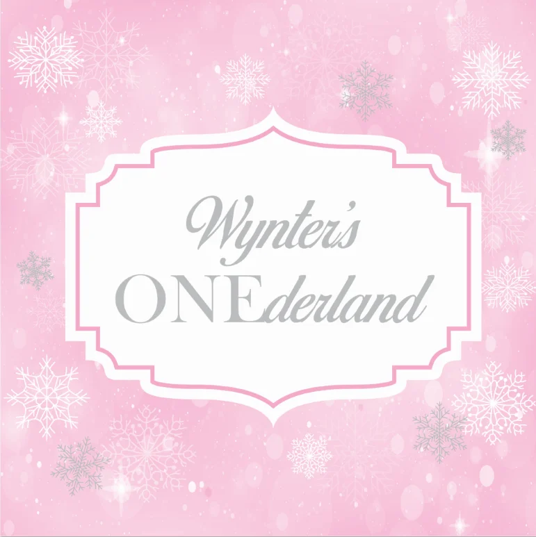 

8x8FT Personalized Welcome Winter Wonderland Baby Shower Snowflakes Spots Custom Photo Studio Background Backdrop Seamless Vinyl