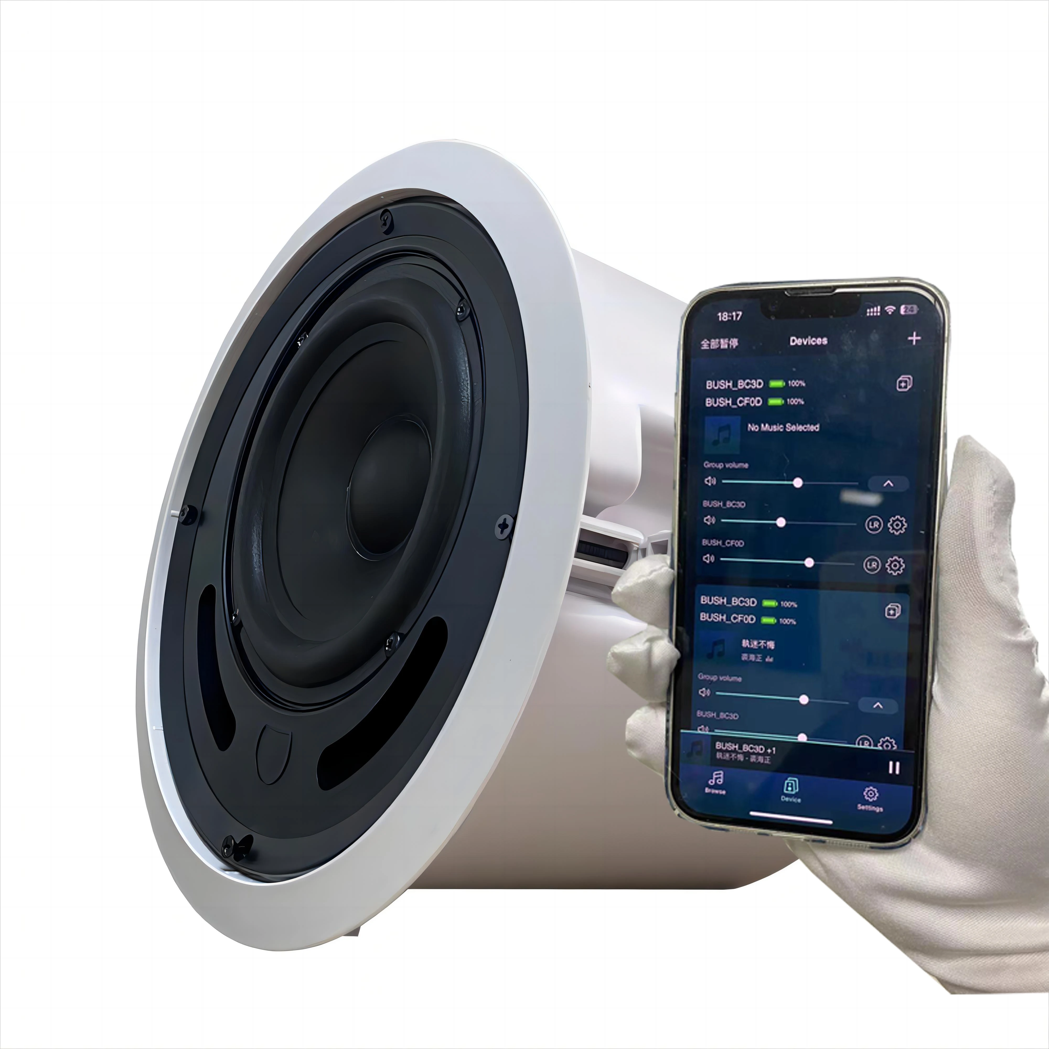 Мобильное приложение MUZO WIIM TUYA Control WIFI