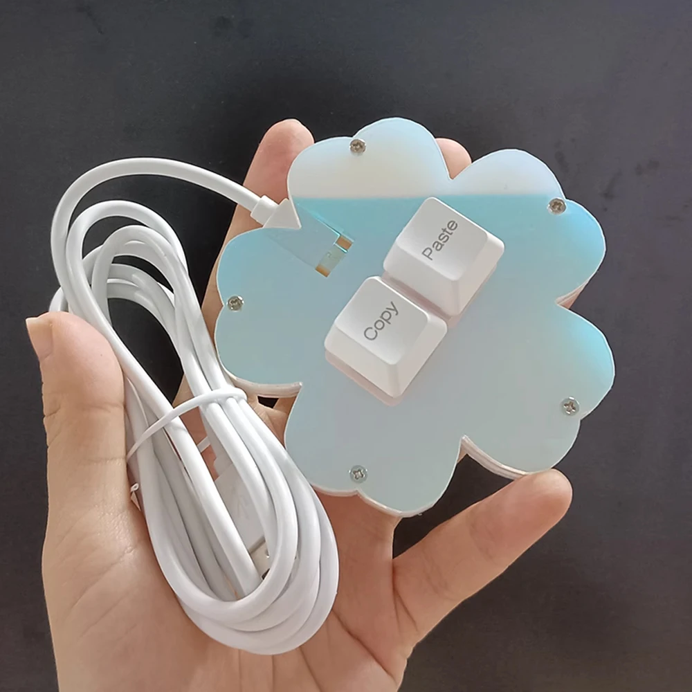 

USB-клавиатура с 2 клавишами, английская, Корейская, японская