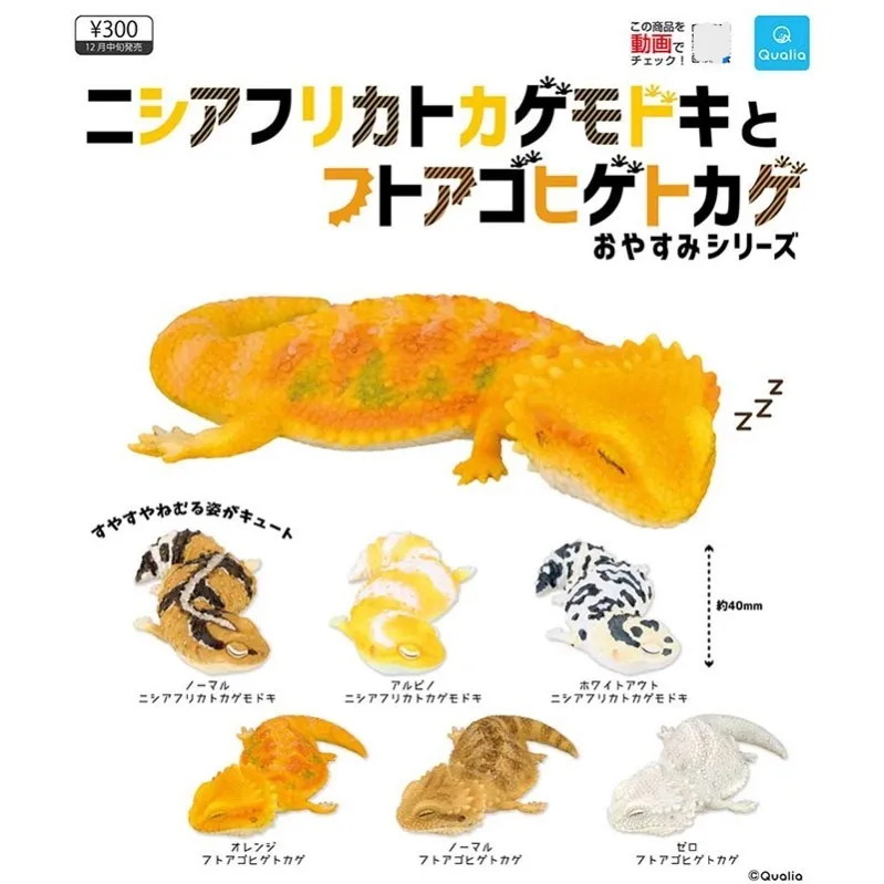 

QUALIA Original Gashapon Noon Break Pogona Vitticeps Gekko Lizard Gachapon Capsule Toy Doll Model Gift Figures Collect Ornament