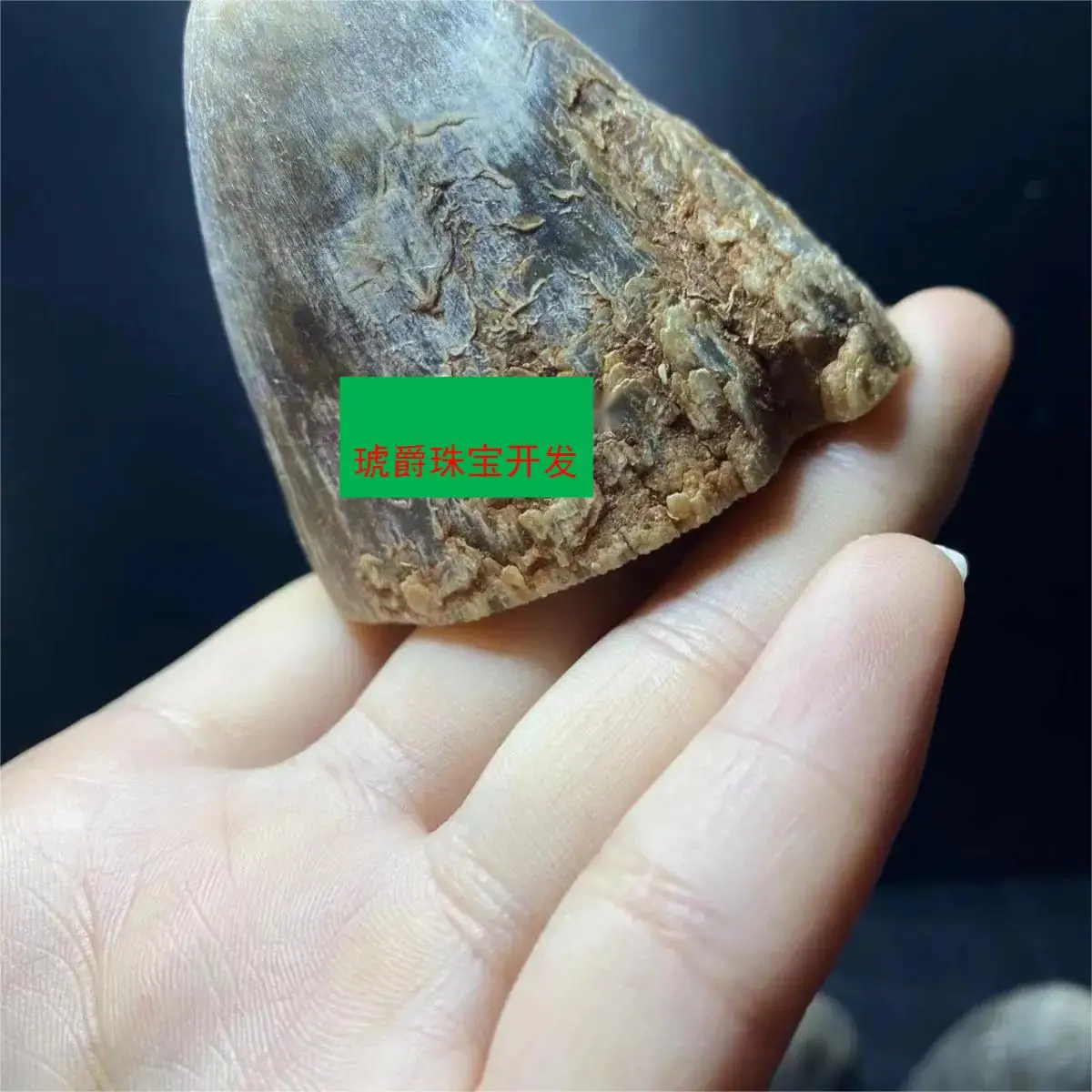 Natural Woolly Rhinoceros Whole Horn High-End Horn Ornaments Health Grinding Powder Into Medicine To Play Both Fish Seed Grain